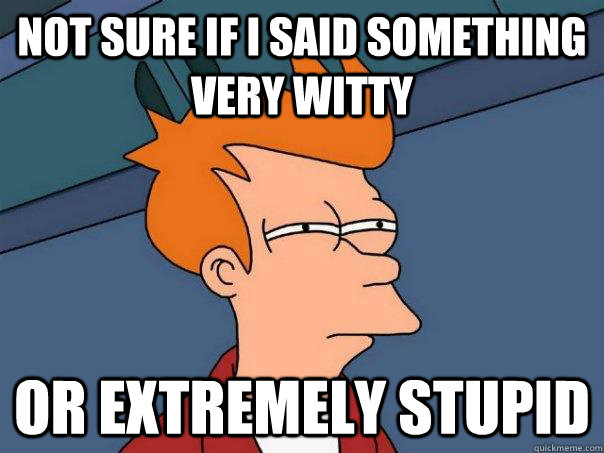 Not sure if i said something very witty or extremely stupid  Futurama Fry