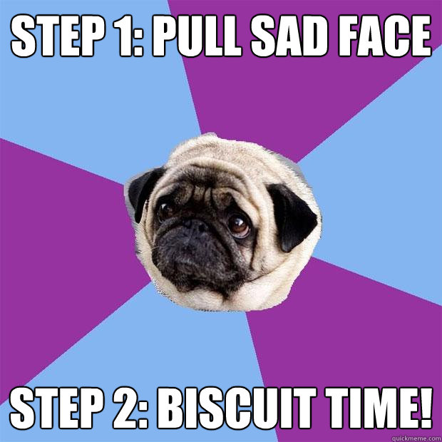 Step 1: pull sad face  step 2: biscuit time!  Lonely Pug