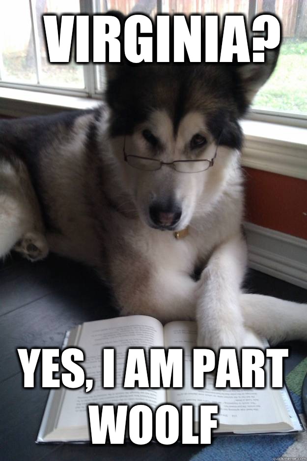 Virginia? Yes, I am part Woolf  Condescending Literary Pun Dog