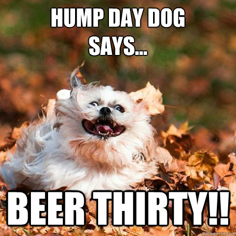 Hump day dog
says... Beer Thirty!! - Hump day dog
says... Beer Thirty!!  Hump Day Dog