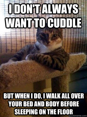 I don't always want to cuddle but when I do, I walk all over your bed and body before sleeping on the floor  The Most Interesting Cat in the World