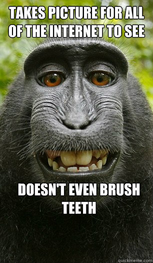 Takes picture for all of the internet to see Doesn't even brush teeth  Mindful Macaque