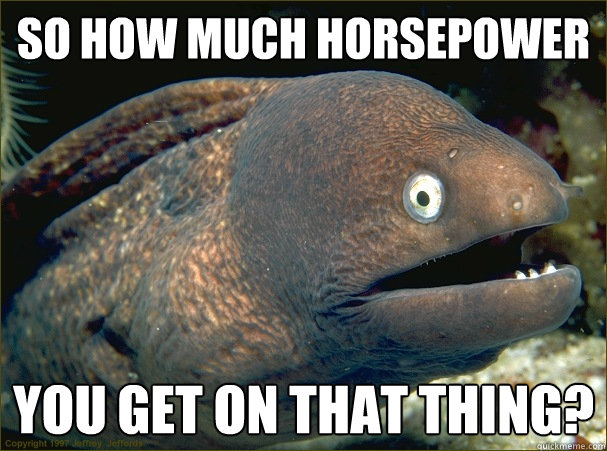 So how much horsepower you get on that thing?  Bad Joke Eel