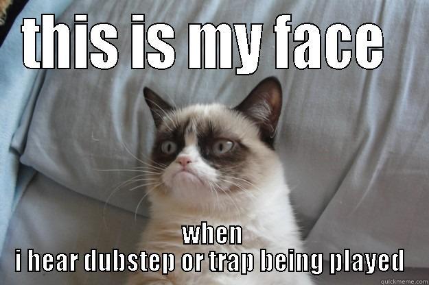 grumpy dubstep/trap kitty - THIS IS MY FACE  WHEN I HEAR DUBSTEP OR TRAP BEING PLAYED  Grumpy Cat