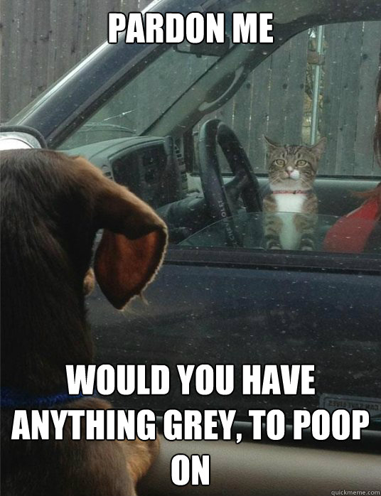 PARDON ME Would you have anything grey, to poop on - PARDON ME Would you have anything grey, to poop on  Cat needs directions