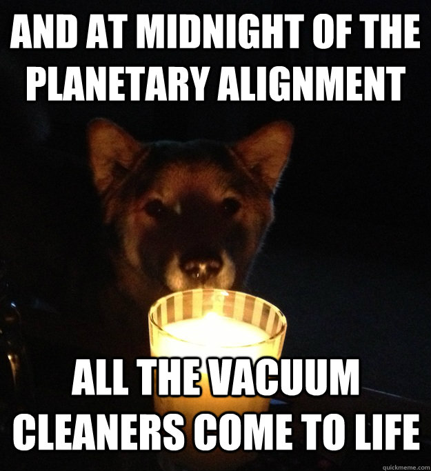 AND AT MIDNIGHT OF THE PLANETARY ALIGNMENT ALL THE VACUUM CLEANERS COME TO LIFE  Scary Story Dog