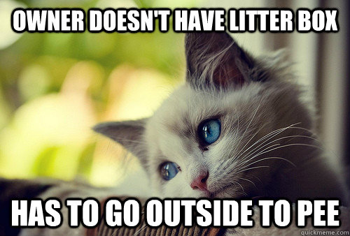 owner doesn't have litter box has to go outside to pee  First World Problems Cat