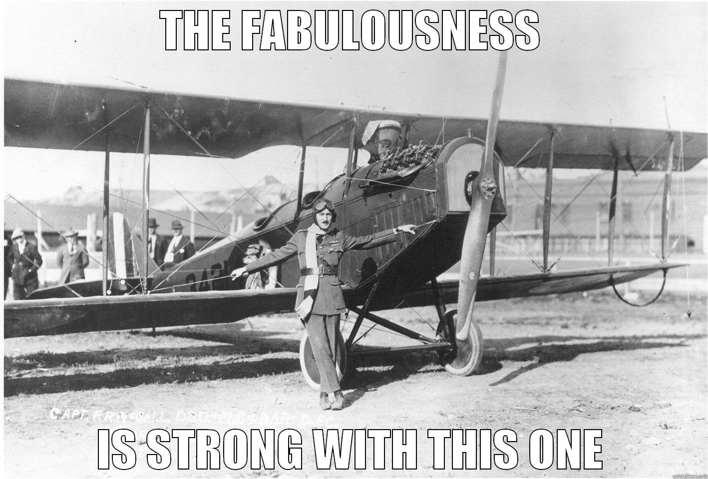 THE FABULOUSNESS IS STRONG WITH THIS ONE Misc