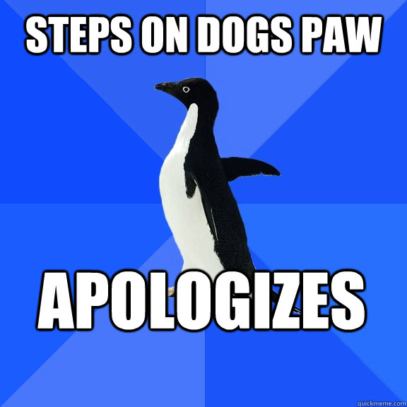 Steps on dogs paw apologizes    Socially Awkward Penguin