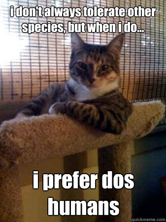 i don't always tolerate other species, but when i do... i prefer dos humans  The Most Interesting Cat in the World