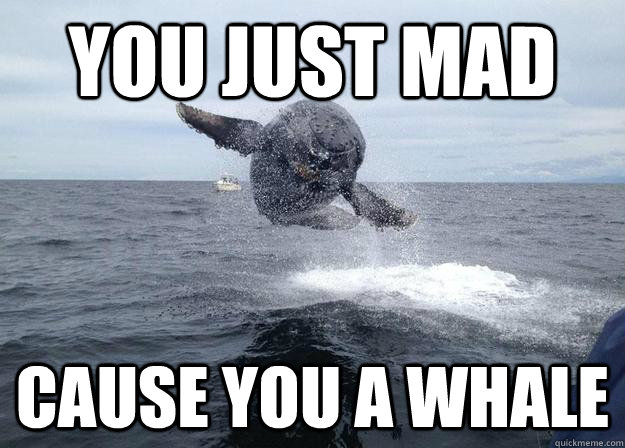 You just mad  cause you a whale - You just mad  cause you a whale  Why fat chicks are mad