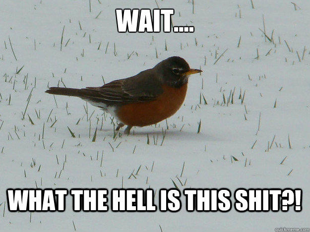 Wait.... what the hell is this shit?! - Wait.... what the hell is this shit?!  Confused Robin