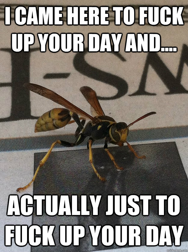 I came here to fuck up your day and.... Actually just to fuck up your day - I came here to fuck up your day and.... Actually just to fuck up your day  Misc