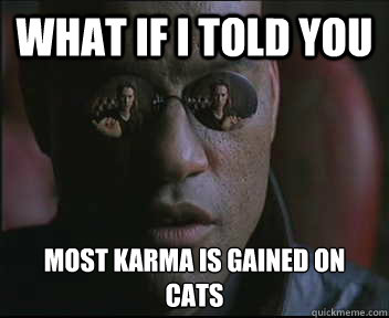 What if I told you most karma is gained on CATS  Morpheus SC