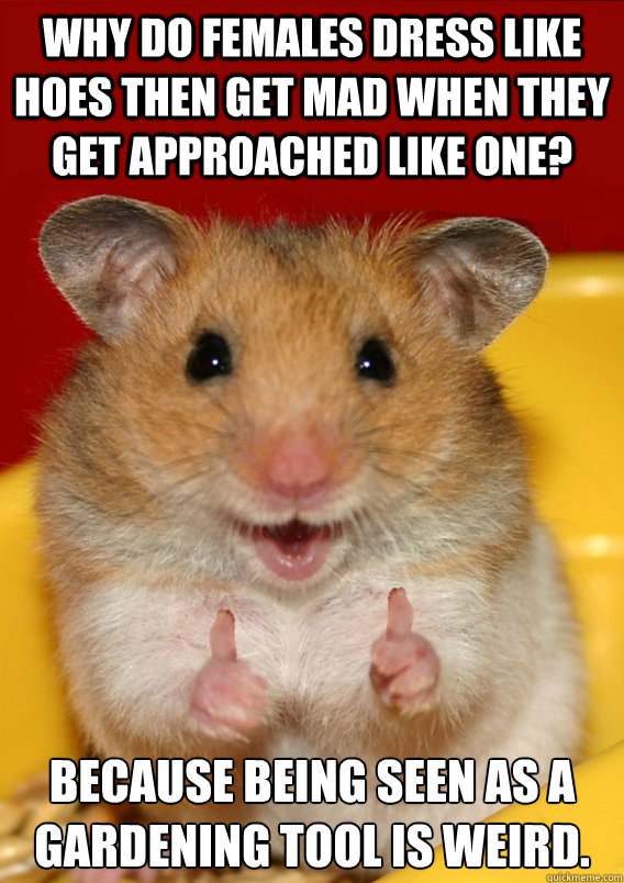 Why do females dress like hoes then get mad when they get approached like one? Because being seen as a gardening tool is weird.    Rationalization Hamster