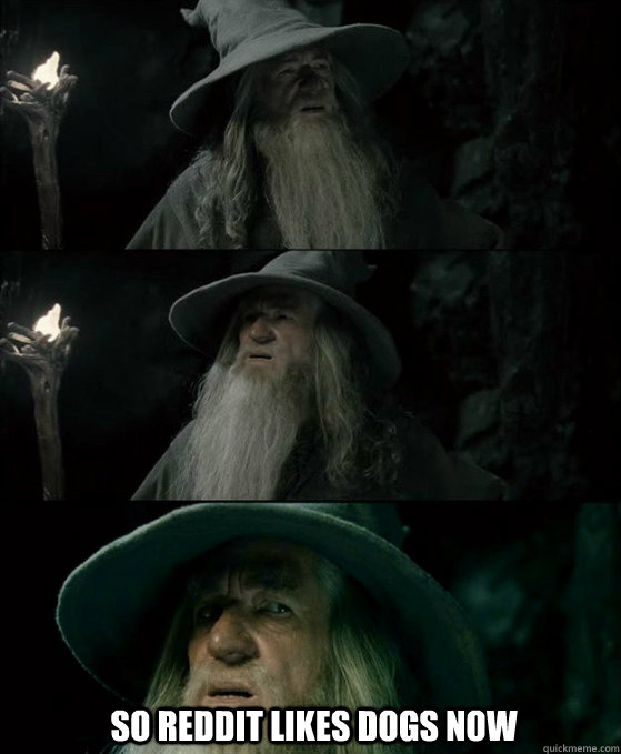   So Reddit likes dogs now  Confused Gandalf