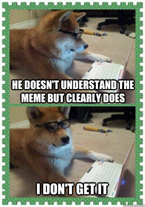 He doesn't understand the meme but clearly does i don't get it - He doesn't understand the meme but clearly does i don't get it  I dont get it dog