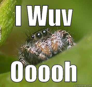 I WUV OOOOH Misunderstood Spider