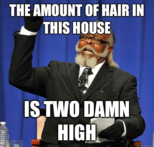 The amount of hair in this house Is two damn high  Jimmy McMillan