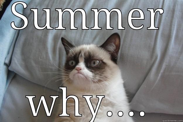 SUMMER WHY.... Grumpy Cat