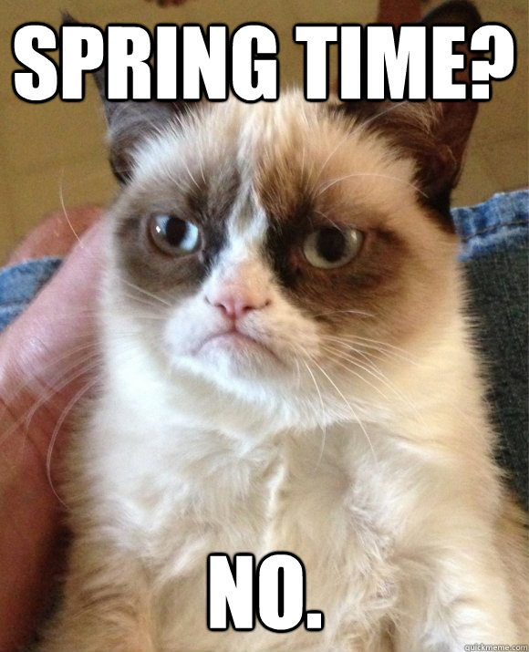 Spring time? No.  Tard the Cat