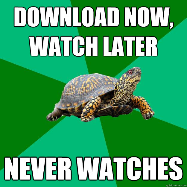 download now, 
watch later never watches - download now, 
watch later never watches  Torrenting Turtle