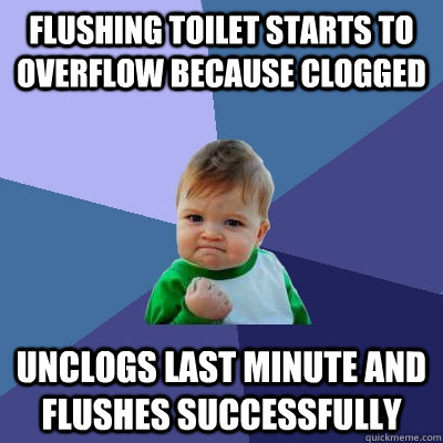 Flushing toilet starts to overflow because clogged Unclogs last minute and flushes successfully  Success Kid