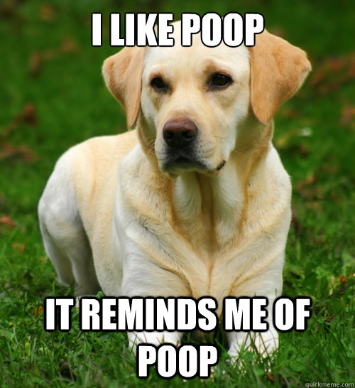 I like poop It reminds me of poop  Dog Logic