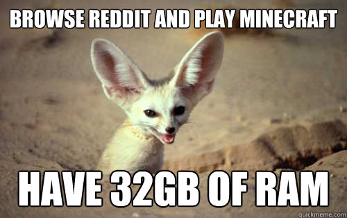 Browse reddit and play minecraft Have 32GB of RAM  Technological Superiority Fennec