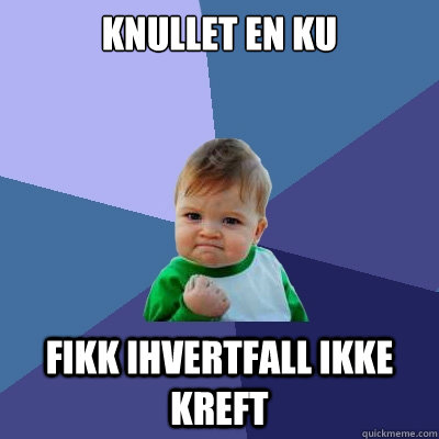 Knullet en ku Fikk ihvertfall ikke kreft  Success Kid