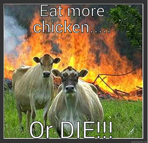 Fed up cows - EAT MORE CHICKEN..... OR DIE!!! Evil cows
