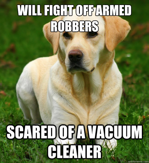 Will fight off armed robbers scared of a vacuum cleaner  - Will fight off armed robbers scared of a vacuum cleaner   Dog Logic