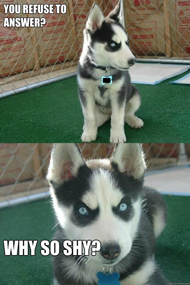 You refuse to answer? Why so shy?  Insanity puppy