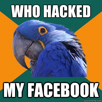 Who hacked my facebook  Paranoid Parrot