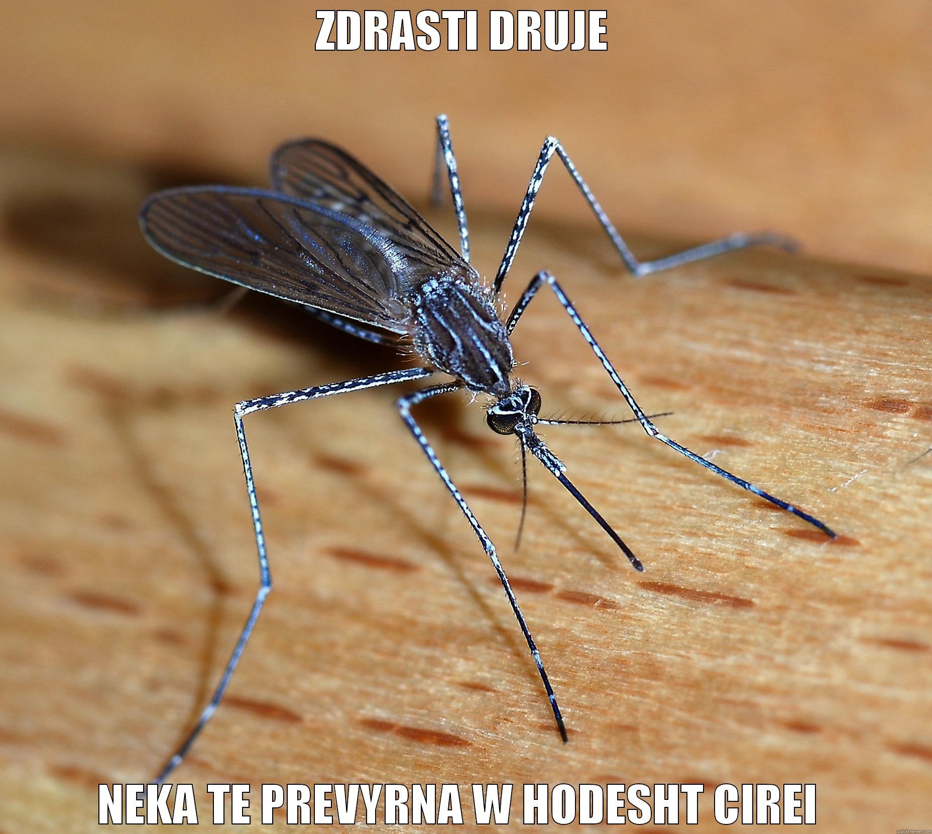 ZDRASTI DRUJE NEKA TE PREVYRNA W HODESHT CIREI  Misc
