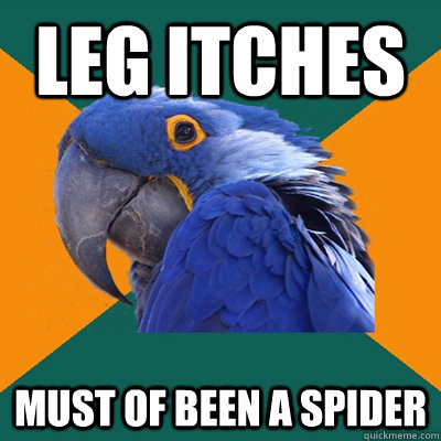LEG ITCHES MUST OF BEEN A SPIDER  Paranoid Parrot