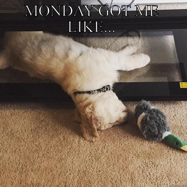 MONDAY GOT ME LIKE...  Misc