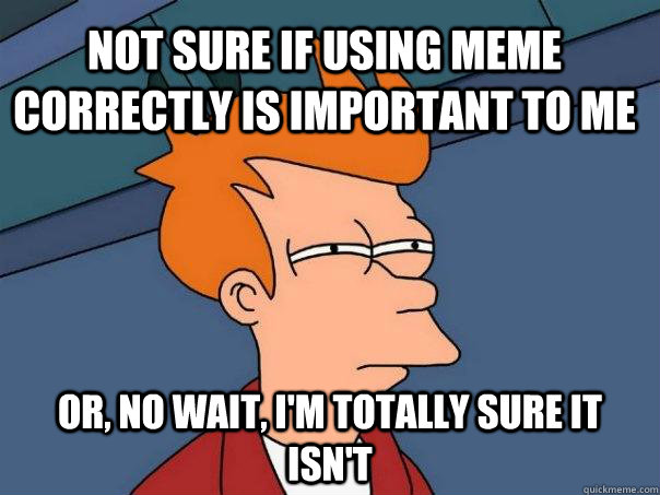 Not sure if using meme correctly is important to me Or, no wait, I'm totally sure it isn't  Futurama Fry