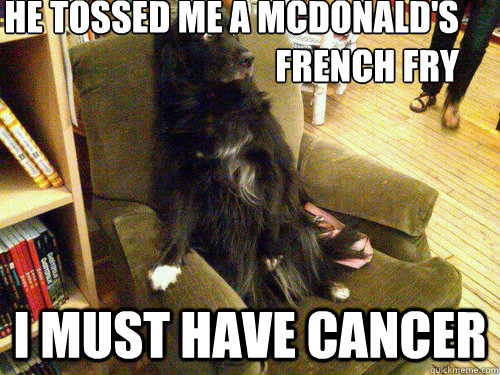 He tossed me a mcDonald's french fry                I must have cancer  scared dog
