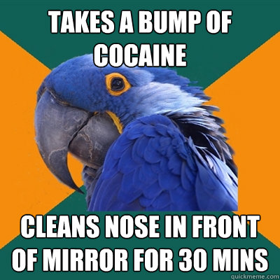 Takes a bump of cocaine cleans nose in front of mirror for 30 mins   Paranoid Parrot