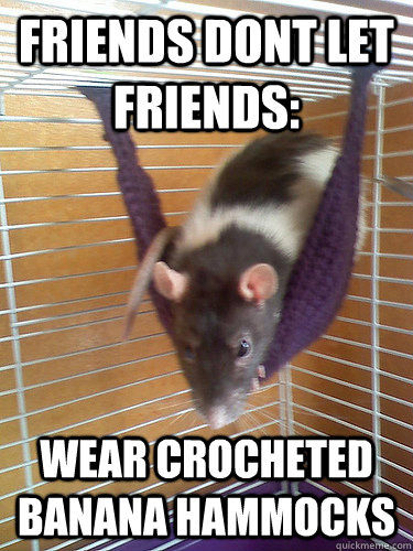 Friends dont let friends: wear crocheted banana hammocks - Friends dont let friends: wear crocheted banana hammocks  hammock hampster