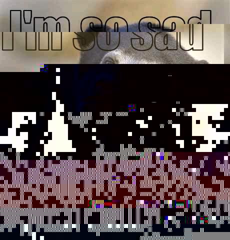 I'M SO SAD AND ITS YOUR FAULT Confession Bear