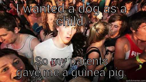 I WANTED A DOG AS A CHILD SO MY PARENTS GAVE ME A GUINEA PIG Sudden Clarity Clarence