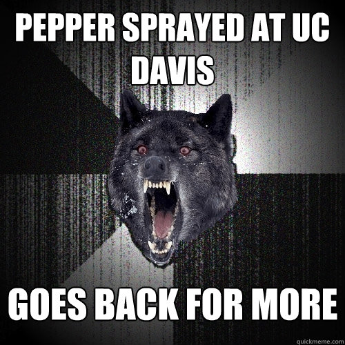 Pepper sprayed at UC Davis goes back for more  Insanity Wolf