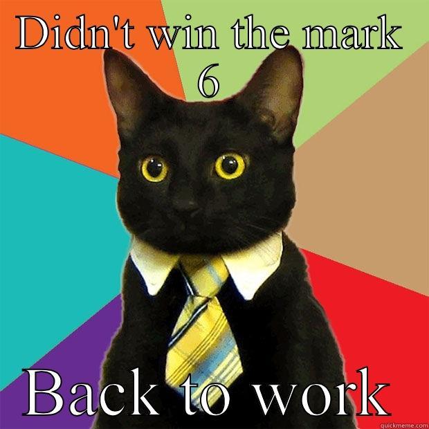 DIDN'T WIN THE MARK 6 BACK TO WORK Business Cat