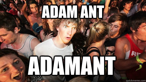 Adam Ant adamant  Sudden Clarity Clarence