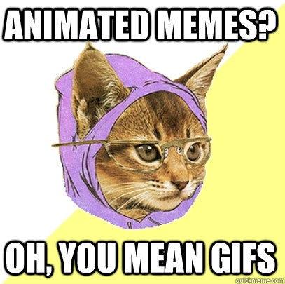Animated memes? oh, you mean gifs  Hipster Kitty