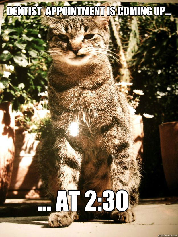 Dentist appointment is coming up... at 230 say it aloud quickmeme
