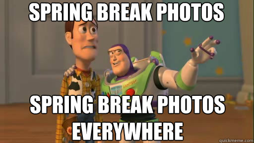 spring break photos spring break photos everywhere  Everywhere