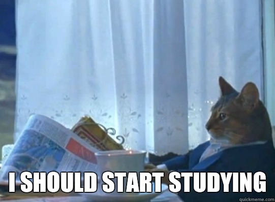  i should start studying  Forever alone sophisticated cat